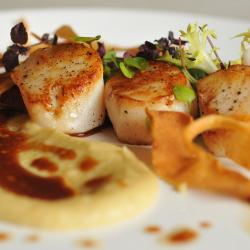 scallops